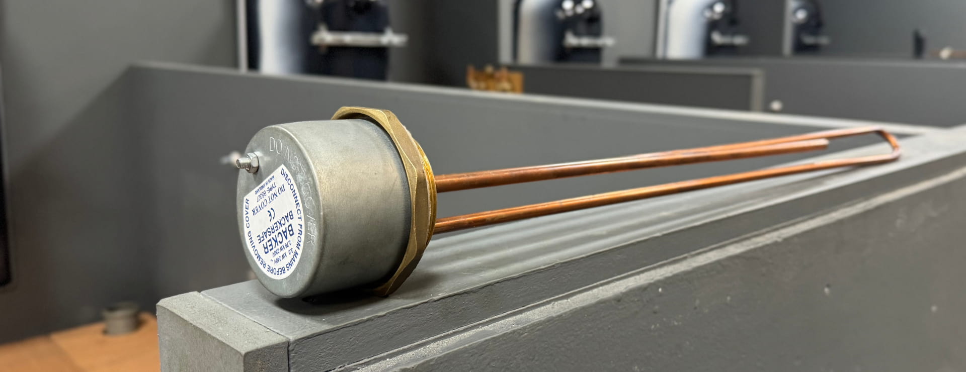 an immersion heater