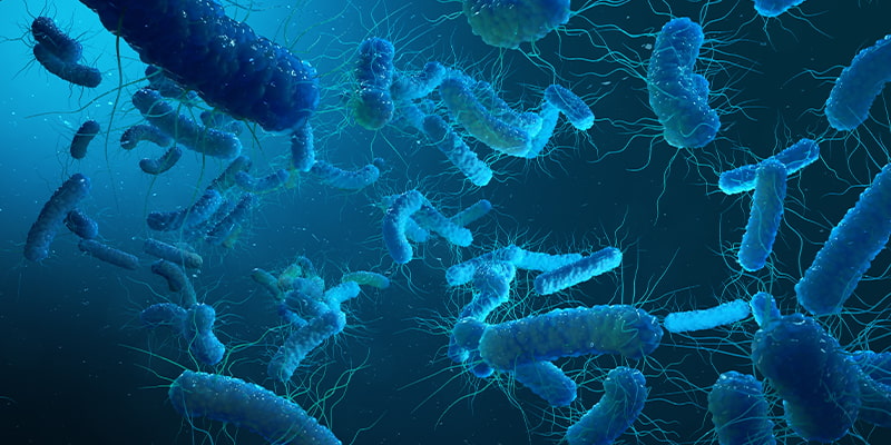 Legionella Treatment Operatives Training Course