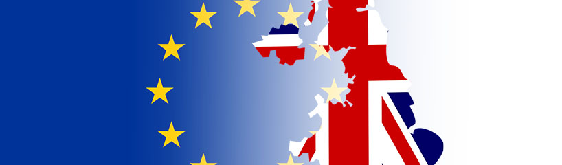 Major Brexit survey launches
