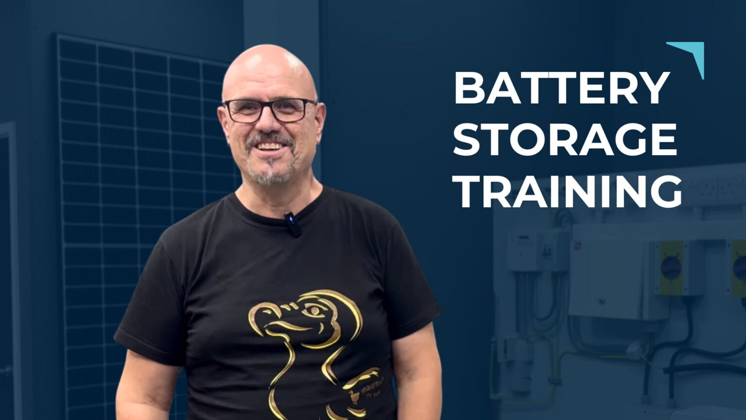 Battery Storage Course | Level 3 RQF EESS Training | Logic4training