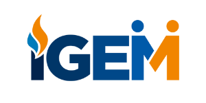 IGEM Logo