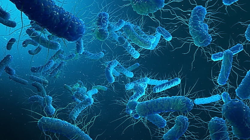 Legionella Training Courses